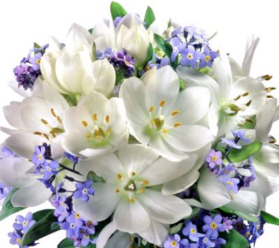 Lindas Flores Brancas e Roxas