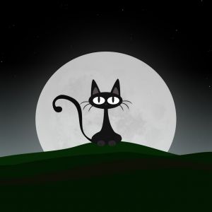 Gato Preto Sob a Lua