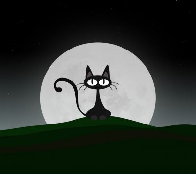 Gato Preto Sob a Lua