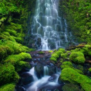 Cascata Serena em Verde Luxuriante