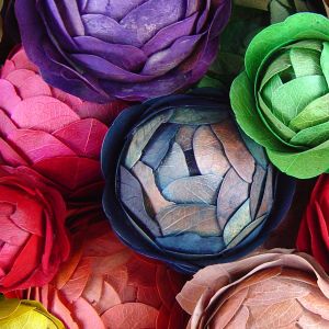 Pétalas de Flores Coloridas