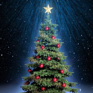 Árvore de Natal com Estrela