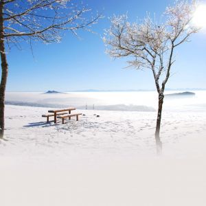 Paisagem de Inverno