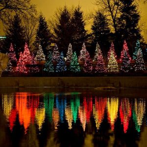 Reflexo de Árvores de Natal Coloridas