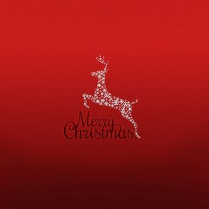 Papel de Parede de Rena de Natal
