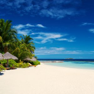 Paraíso da Praia Tropical