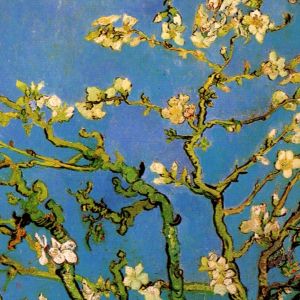 Flor de Amendoeira de Van Gogh