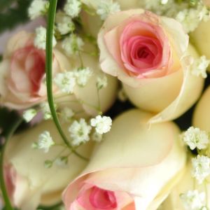 Belo buquê de rosas rosas