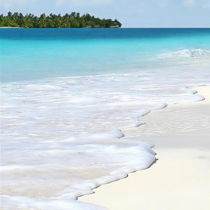 Paraíso da Praia Tropical