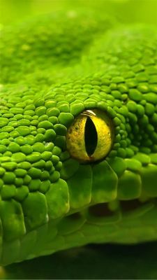 Close-Up de uma Cobra Verde