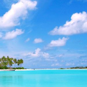 Paraíso da Praia Tropical