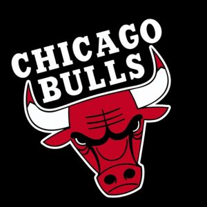 Logo Chicago Bulls