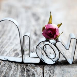 Amor e Rosa