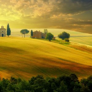 Paisagem Dourada da Toscana
