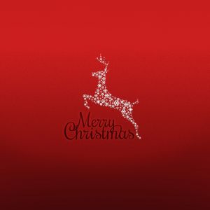 Papel de Parede Rena de Natal