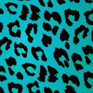 Padrão de Leopardo