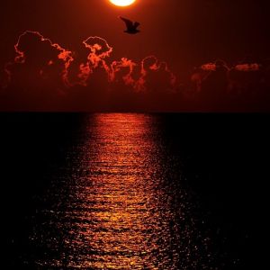 Deslumbrante Pôr do Sol sobre o Oceano