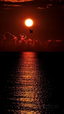 Deslumbrante Pôr do Sol sobre o Oceano