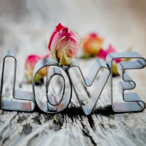 Amor e Rosas