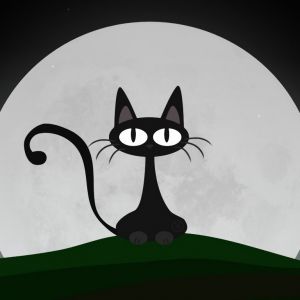 Silhueta de Gato Preto