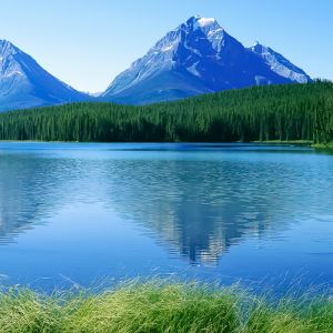 Lago da Montanha Sereno