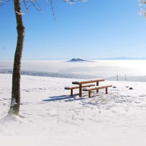Paisagem Nevada com Banco