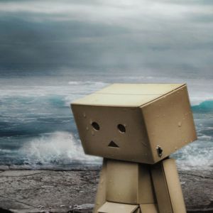 Danbo em uma Paisagem Tempestuosa
