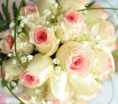Belo Buquê de Rosas Rosadas