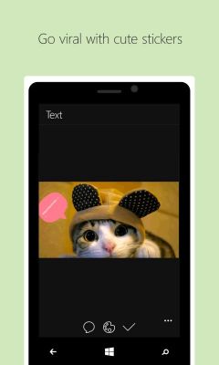 Gato Fofo com Adesivos