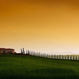 Paisagem Toscana ao Pôr do Sol