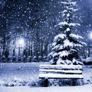 Noite de Inverno Nevada