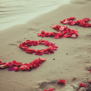 Amor na Praia
