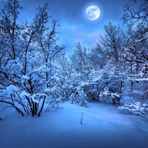 Cenário Invernoso Iluminado pela Lua