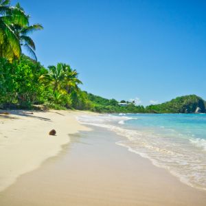 Paraíso da Praia Tropical