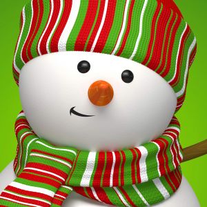 Boneco de Neve Alegre com Cachecol de Natal