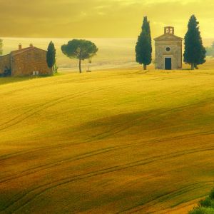 Paisagem Toscana Dourada