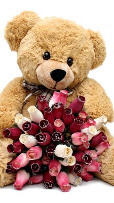 Ursinho com Rosas