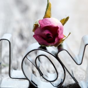 Decoração de Amor com Rosa