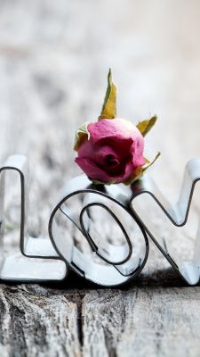 Decoração de Amor com Rosa