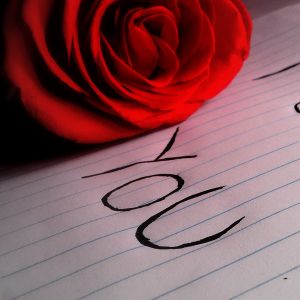 Rosa Vermelha e Você