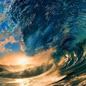 Onda Oceânica Majestosa