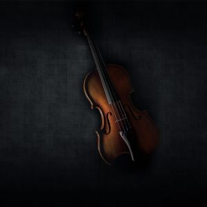Violino Elegante em Fundo Escuro