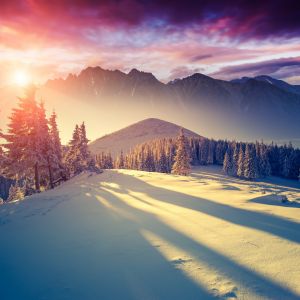 Deslumbrante Paisagem de Inverno