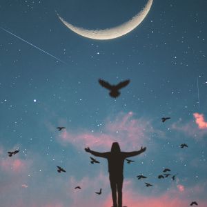 Silhueta Contra o Céu Estrelado